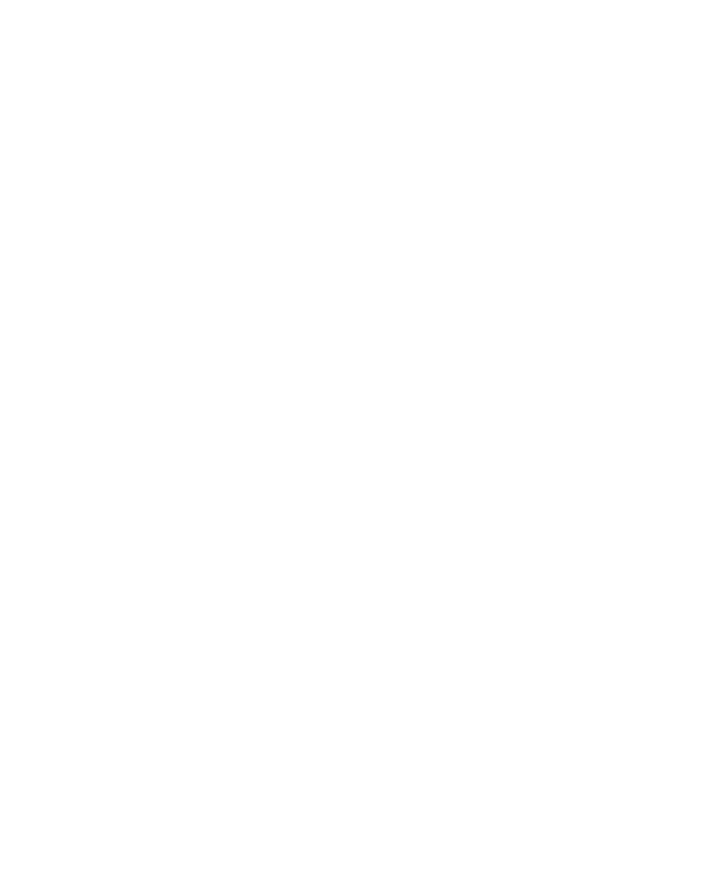 Nara Logo